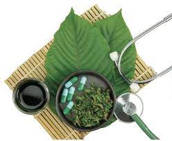 Kratom Cool Down: Chilling with Herbal Infusions